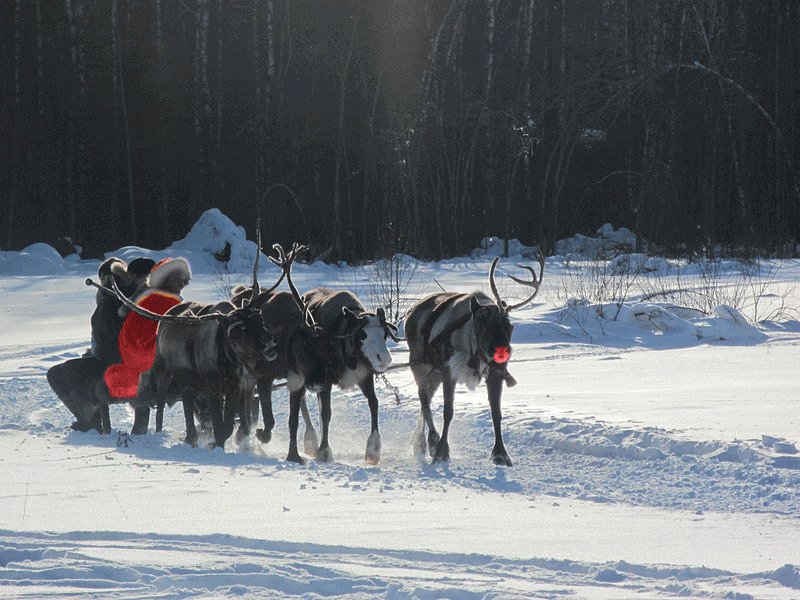 Sant Claus practices his driving.